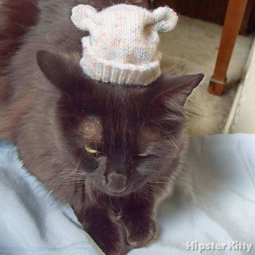 cat in hat. Artsy Hat Cat