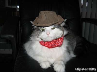 Cowboy Cat