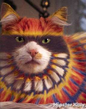 Painted Cat