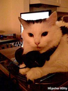 DJ Kitty 2