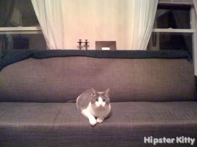 Edward Hopper Cat