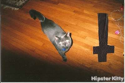 Goth Kitty