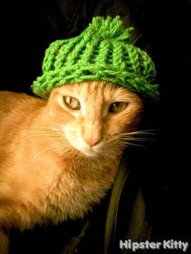 Knitting Circle Cat