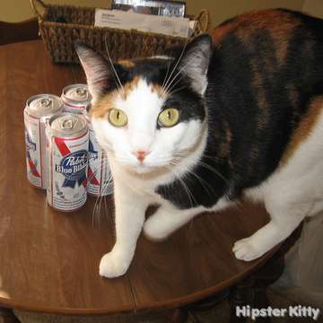 Hipster Kitties Love PBR