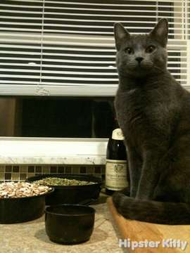 Hipster Dinner Party
