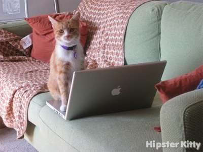 Macbook Hipster Cat