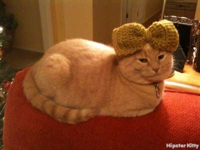 Knitted Bow Cat