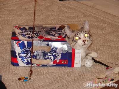 PBR Kitty 2