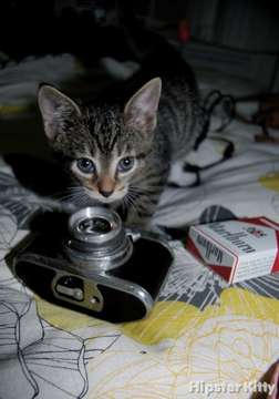 Plastic Camera Kitty