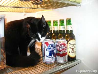 Caturday Night PBR